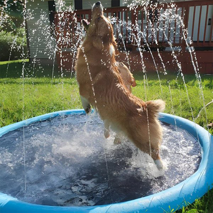 Dog Sprinkler Pad